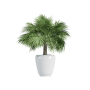 Plant Decor 01
