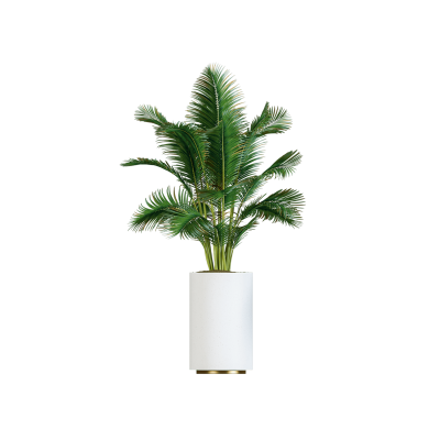 Plant Decor 02