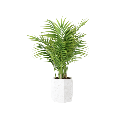 Plant Decor 03