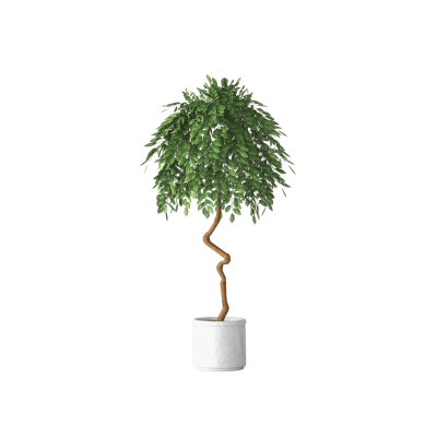 Plant Decor 05