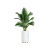 Plant Decor